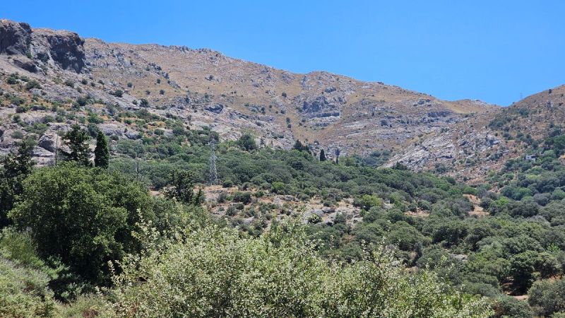 Bodrum Gümüşlükte Satılık Deniz Manzaralı Arsa
