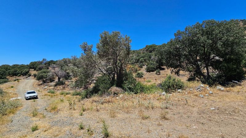 Bodrum Gümüşlükte Satılık Projesi Hazır Ruhsatları Alınmış Kısmi Deniz ve Doğa Manzaralı Arsa