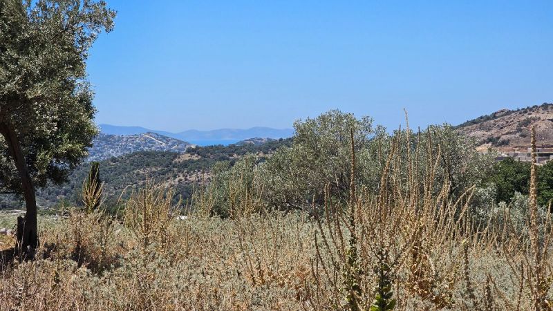 Bodrum Gümüşlükte Satılık Projesi Hazır Ruhsatları Alınmış Kısmi Deniz ve Doğa Manzaralı Arsa