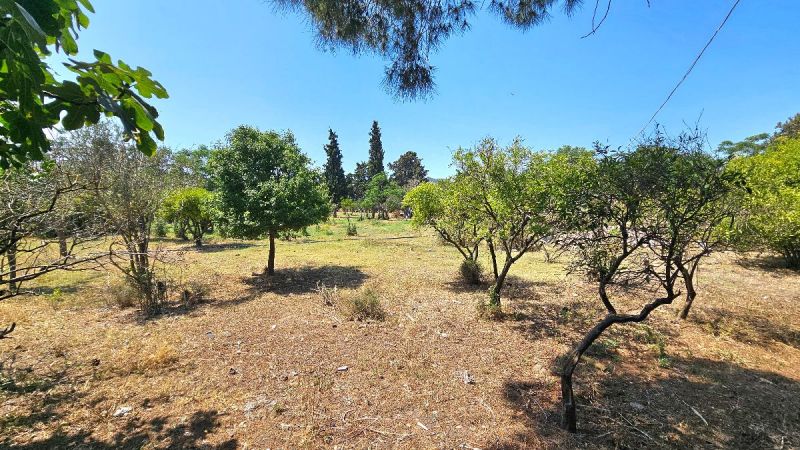 Bodrum Gümüşlük Merkezde Satılık Doğa Manzaralı Merkezi Arsa