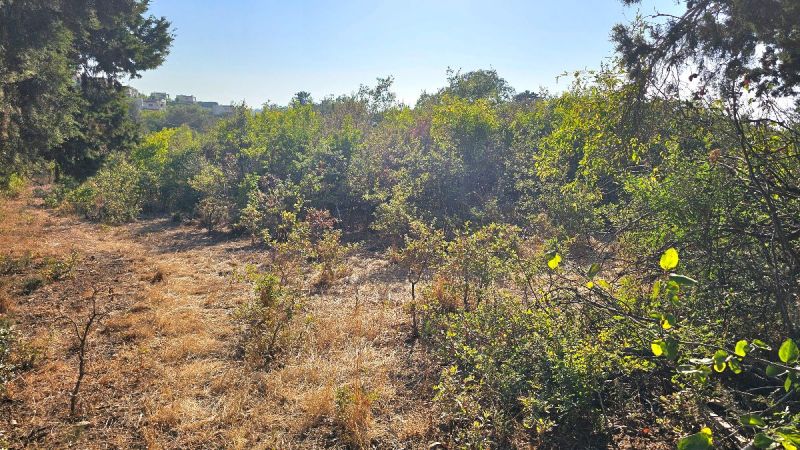 Bodrum Gümüşlükte Satılık Arsa